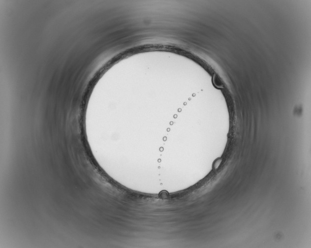 X0000090740783200708172007