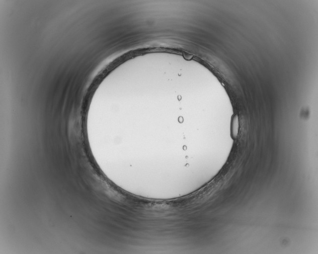 X0000090740784200708172006