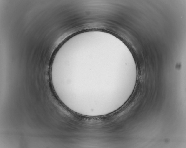 X0000090740786200708172006