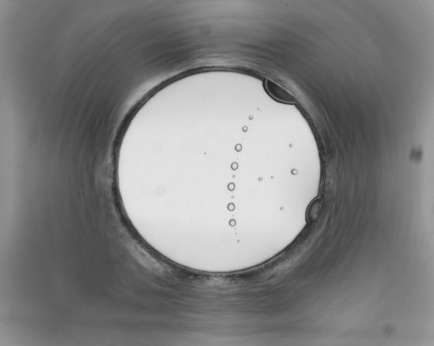 X0000090740787200708172006