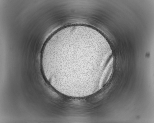 X0000090740790200708172006