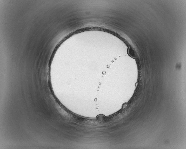 X0000090740791200708172006