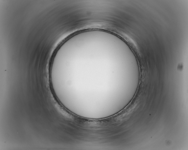 X0000090740792200708172006