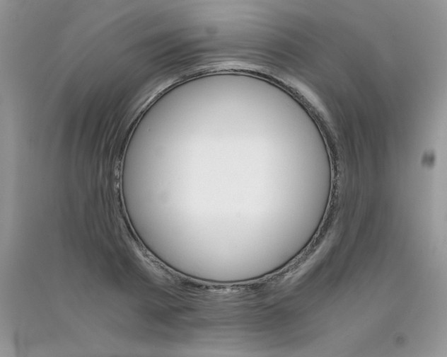 X0000090740793200708172006