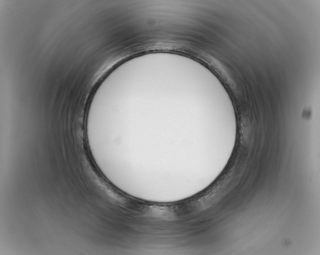 X0000090740794200708172006