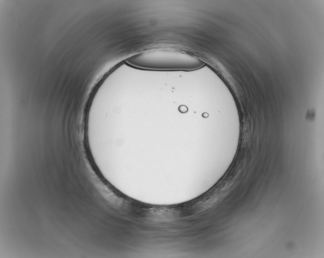 X0000090740795200708172006