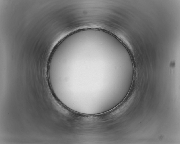 X0000090740797200708172006