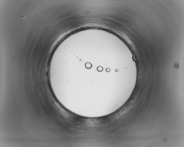 X0000090740799200708172006