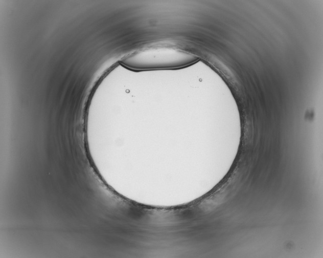 X0000090740800200708172006