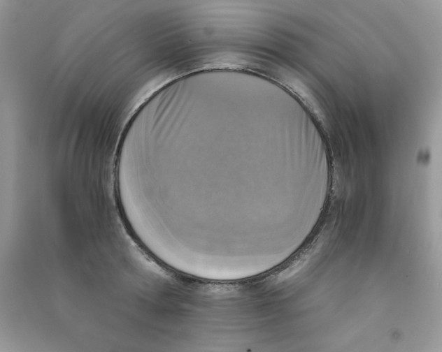 X0000090740802200708172006