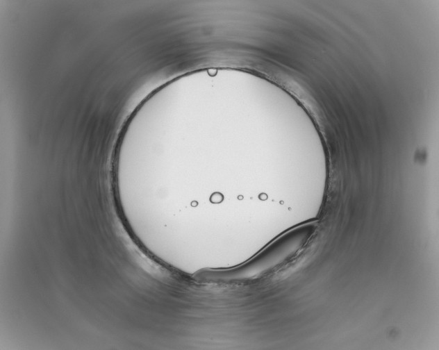 X0000090740803200708172006