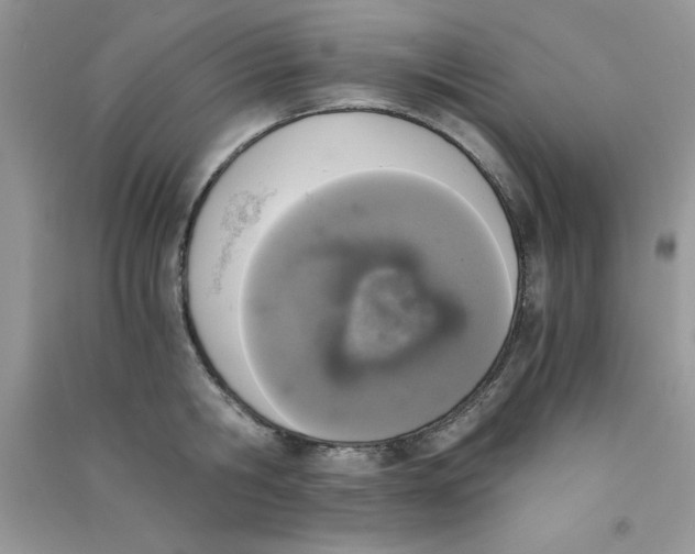 X0000090740806200708172006