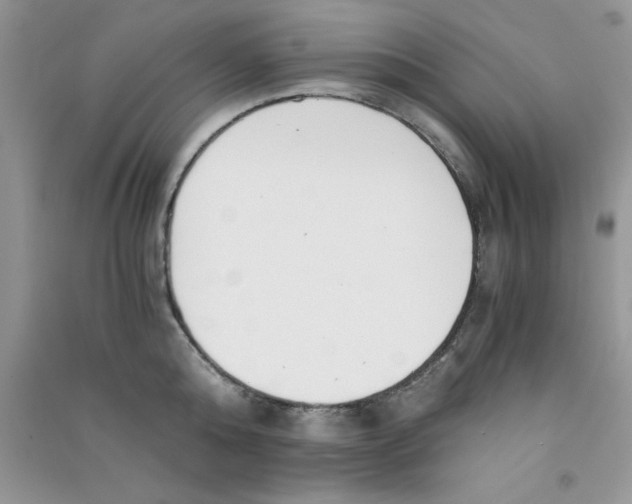 X0000090740808200708172006