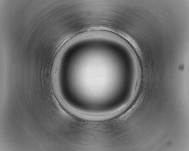 X0000090740809200708172006