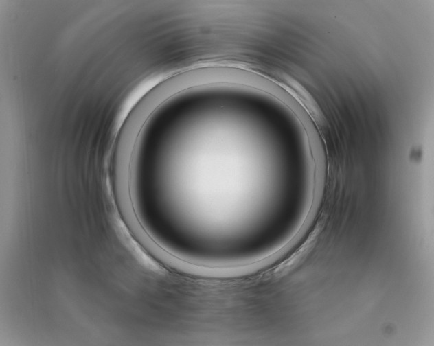 X0000090740812200708172006