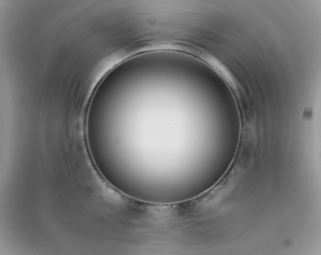 X0000090740813200708172006