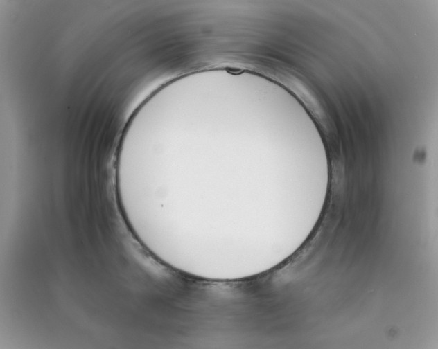 X0000090740814200708172006