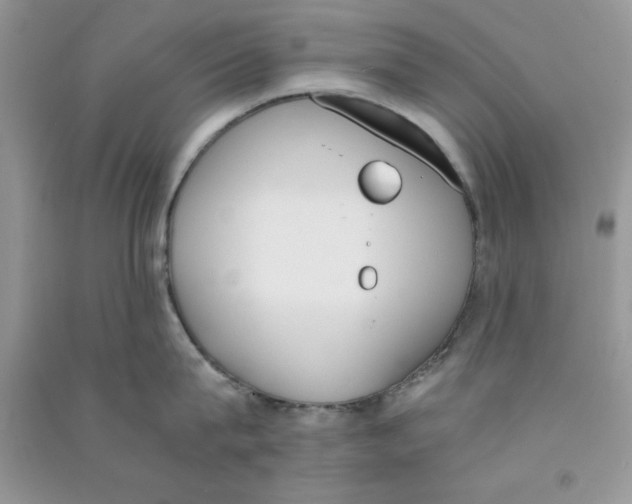 X0000090740815200708172006