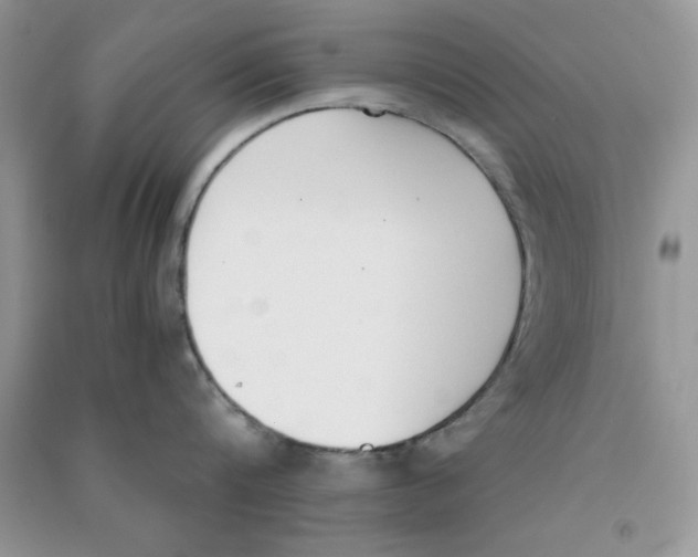 X0000090740816200708172006