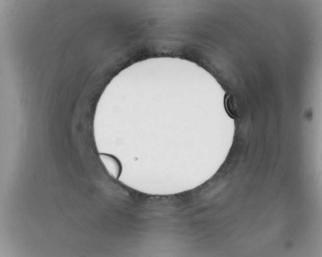 X0000090740817200708172005