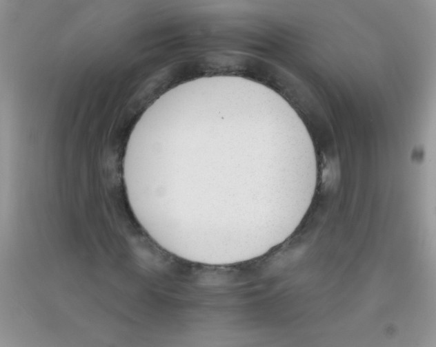 X0000090740819200708172006