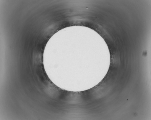 X0000090740820200708172006