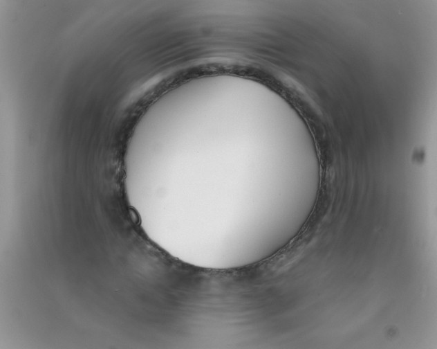 X0000090740822200708172006