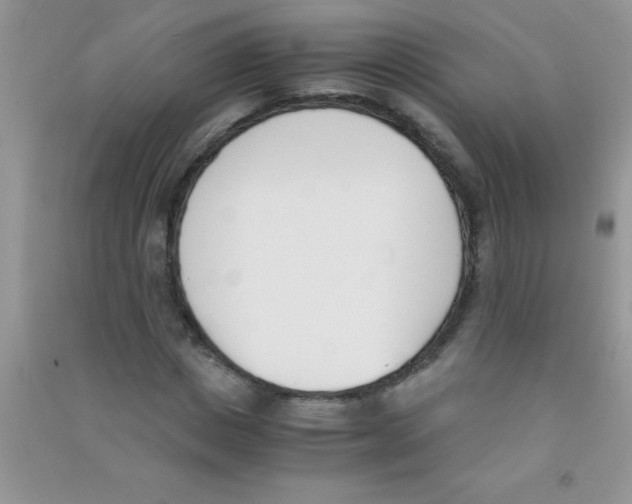 X0000090740825200708172006