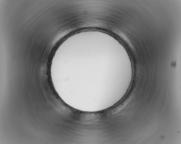 X0000090740826200708172006