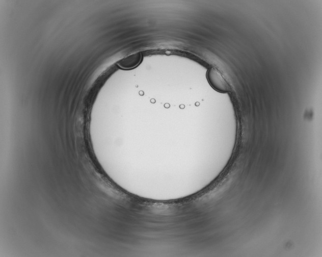 X0000090740827200708172006