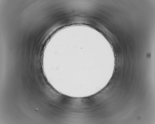 X0000090740828200708172006