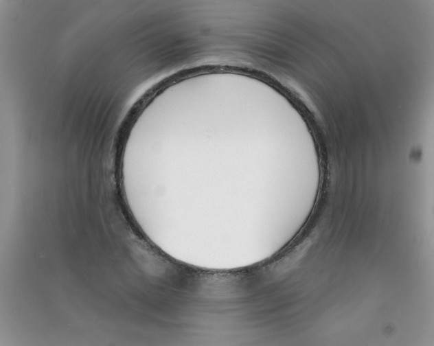 X0000090740830200708172006