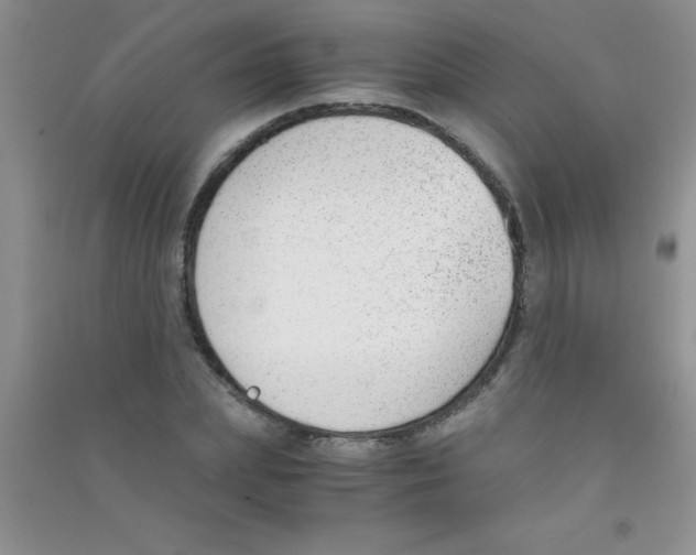 X0000090740831200708172006