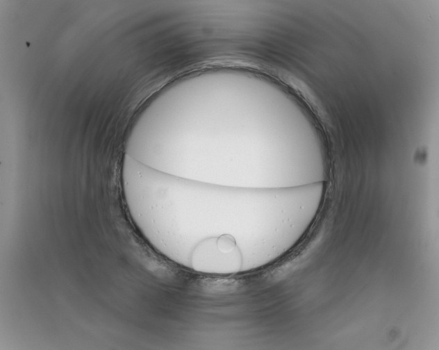 X0000090740833200708172006