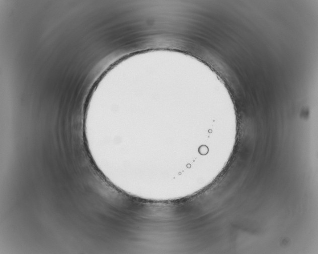 X0000090740836200708172006