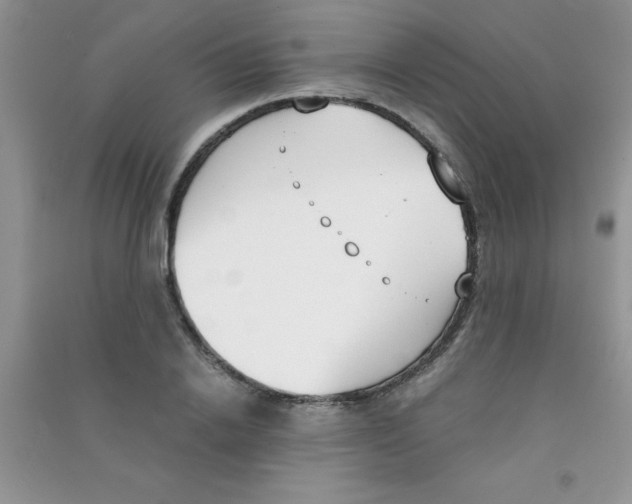 X0000090740838200708172006