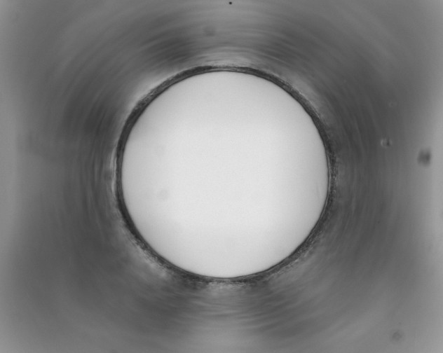 X0000090740840200708172006