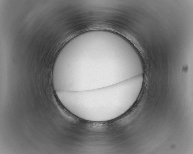 X0000090740841200708172006