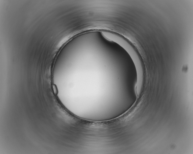 X0000090740842200708172006