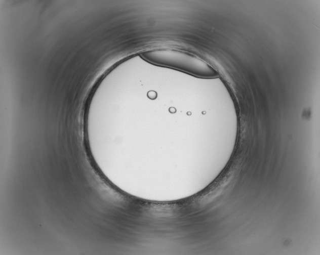 X0000090740843200708172006