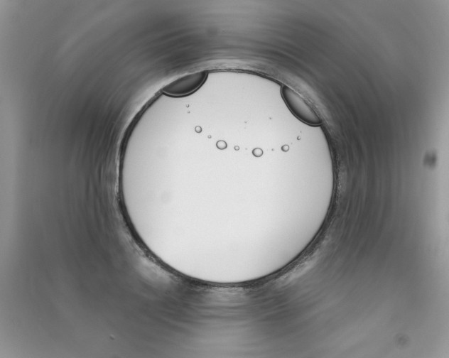 X0000090740844200708172006