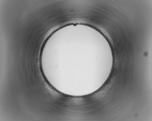 X0000090740845200708172006