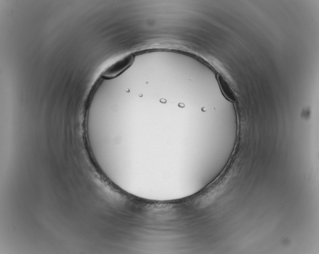 X0000090740846200708172006