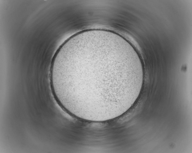 X0000090740847200708172006