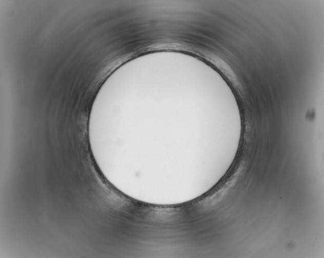 X0000090740849200708172006