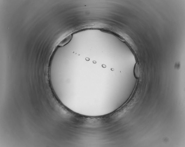 X0000090740850200708172006