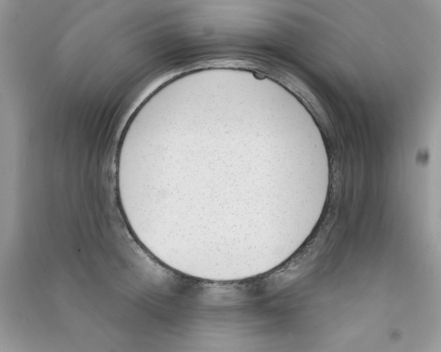 X0000090740852200708172006