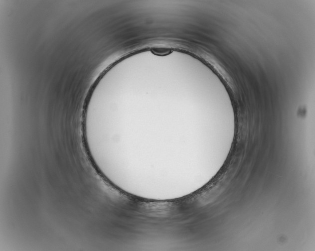 X0000090740853200708172006