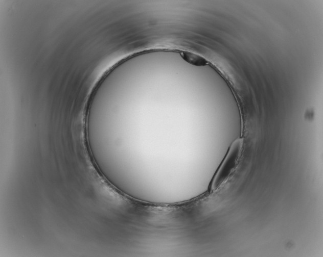 X0000090740854200708172006