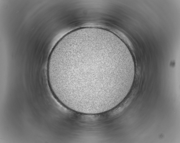 X0000090740855200708172006